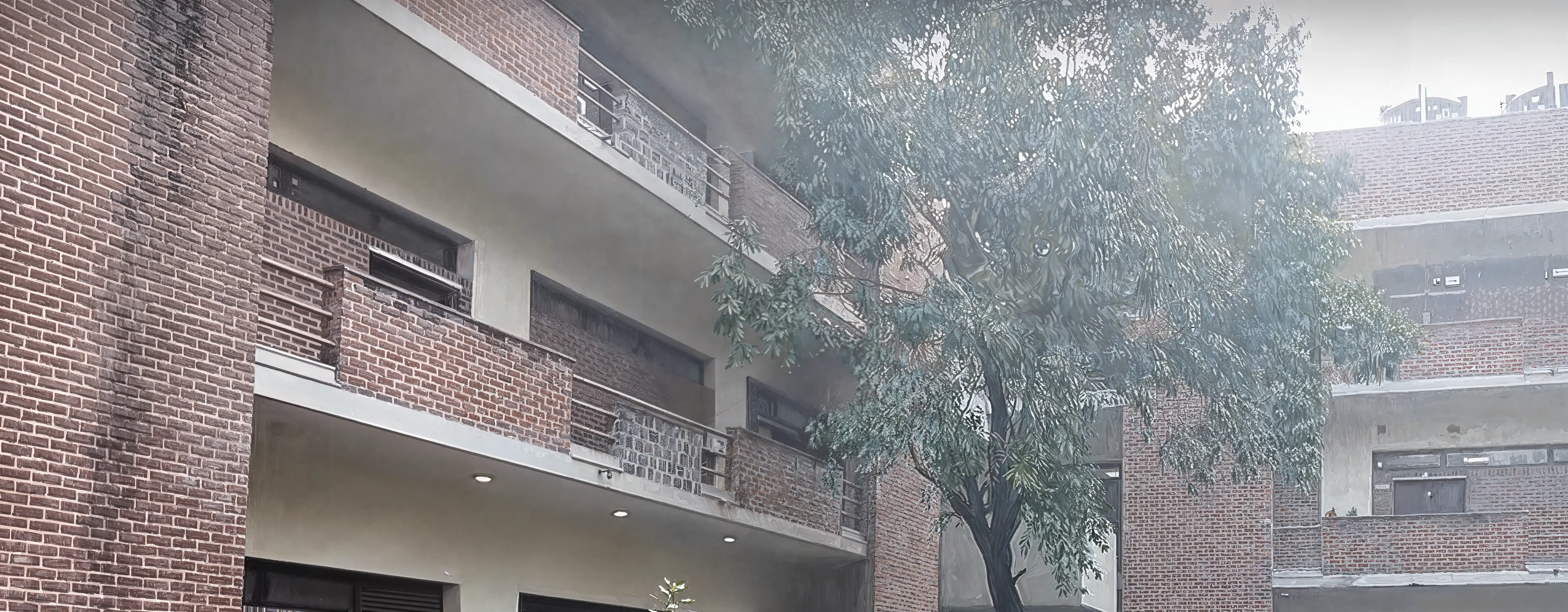 Miranda House Campus photo 14